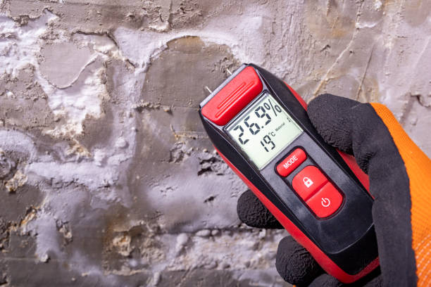 Best Mold Testing  in West Yarmouth, MA