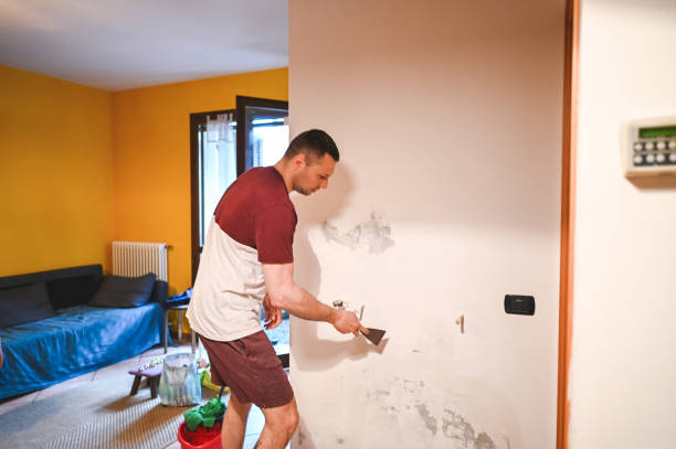 Best Office Mold Removal Services  in West Yarmouth, MA